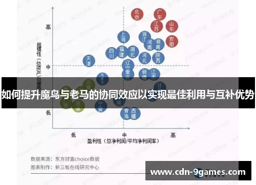 如何提升魔鸟与老马的协同效应以实现最佳利用与互补优势